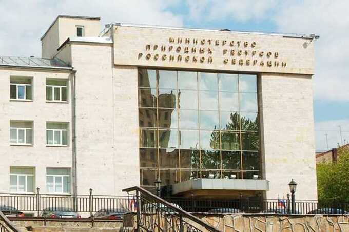 Как Белоглазов превратил Росприроднадзор в инструмент мусорной мафии
